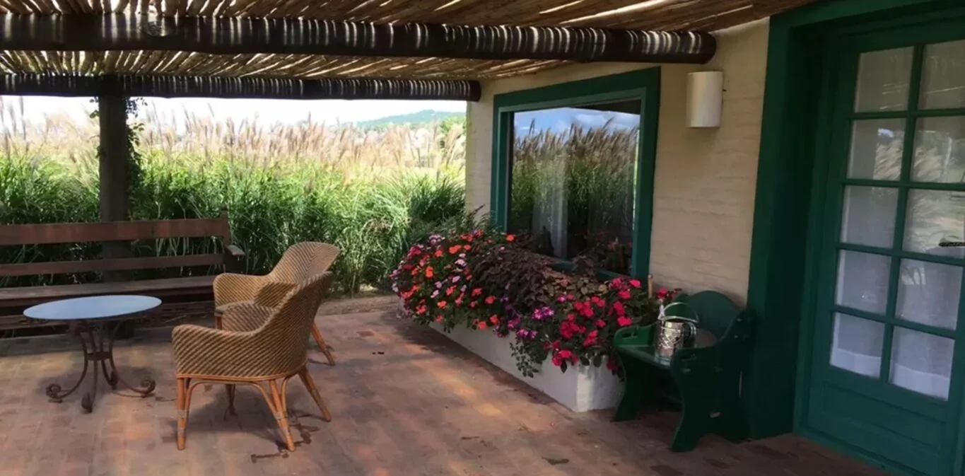 Chacra en Punta Ballena, propiedad 301146 -Imagen 9