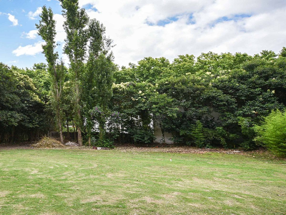 Local en Colonia del Sacramento, propiedad 53722 -Imagen 5