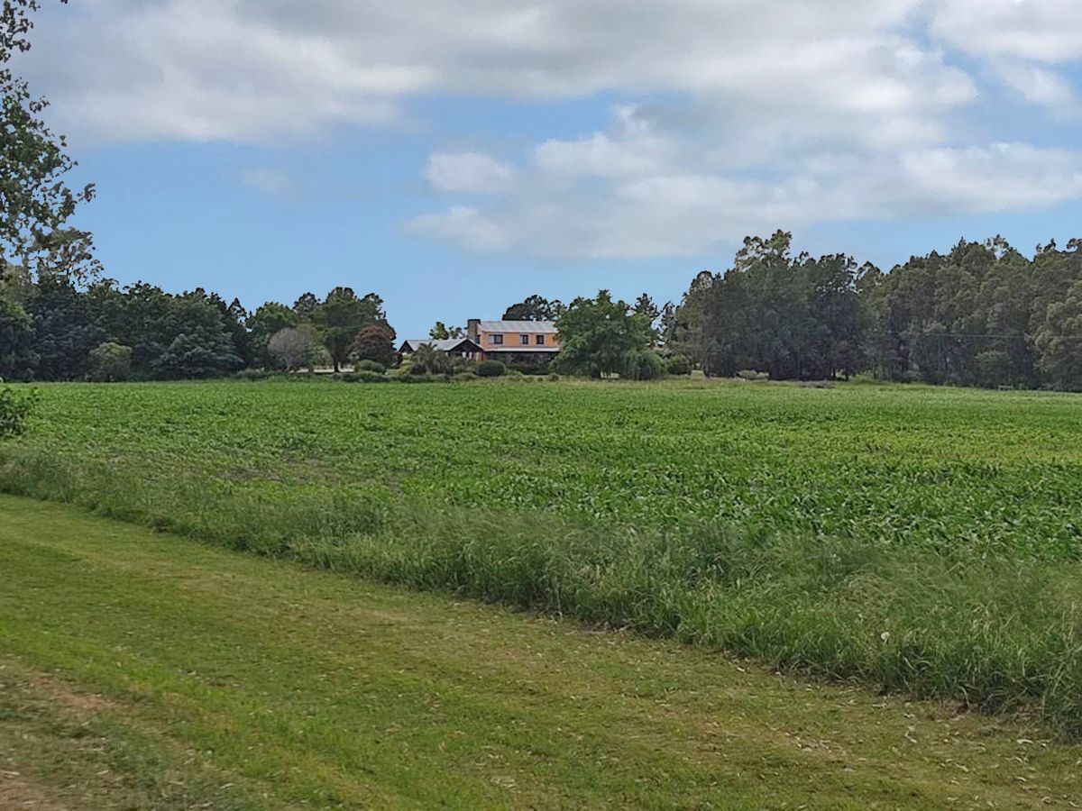 Chacra en Colonia del Sacramento, propiedad 54561 -Imagen 2