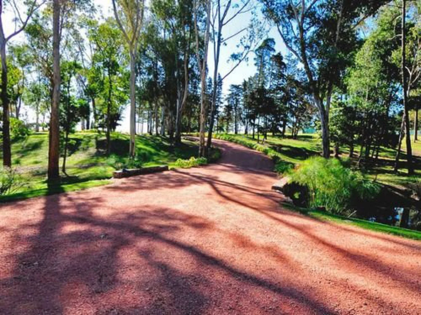 Terreno en Laguna del Sauce, propiedad 55738 -Imagen 5