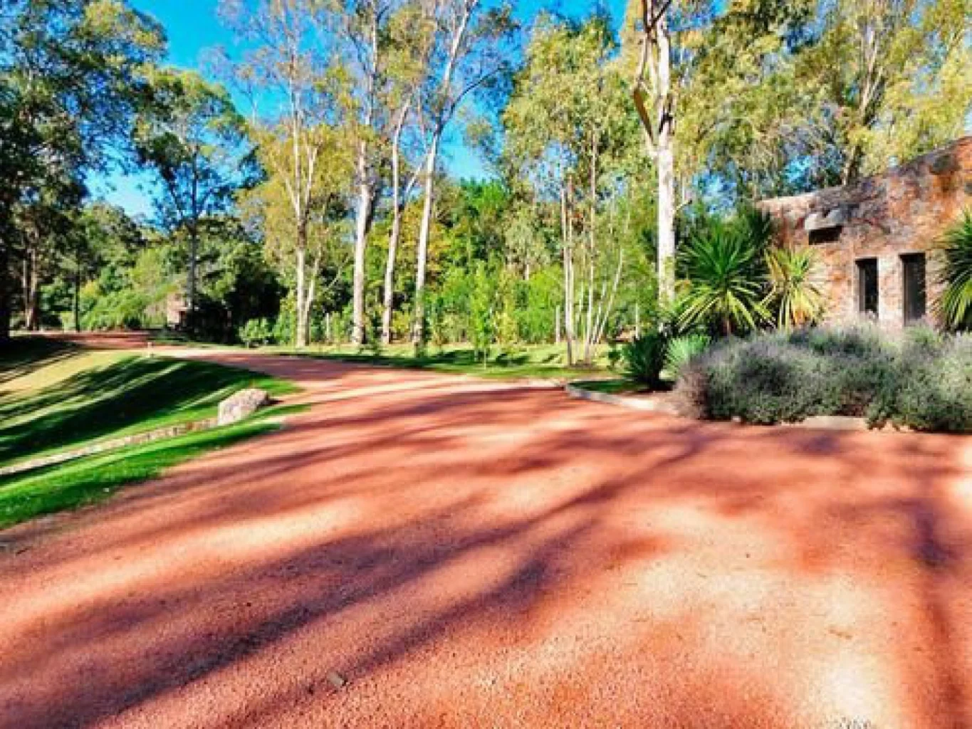 Terreno en Laguna del Sauce, propiedad 55738 -Imagen 7