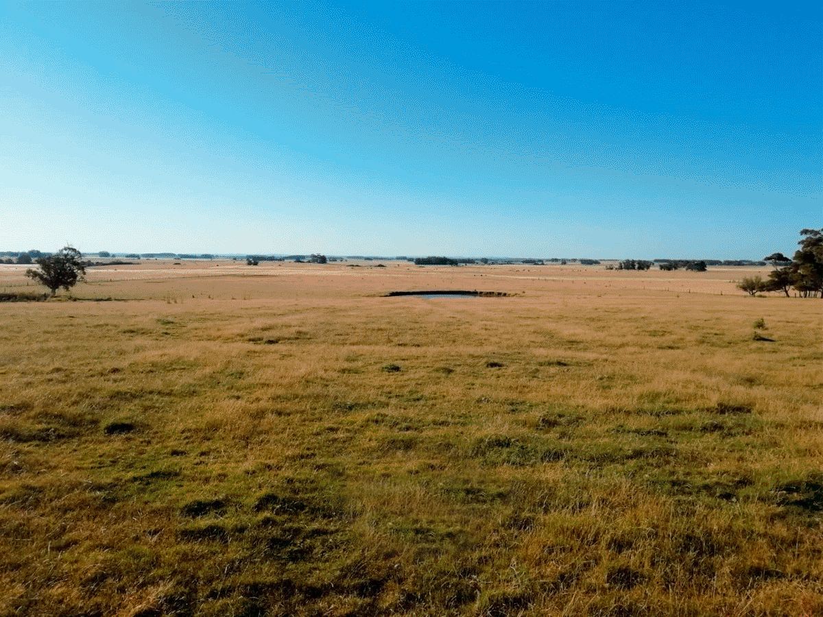 Campo en Canelones, propiedad 57453 -Imagen 4