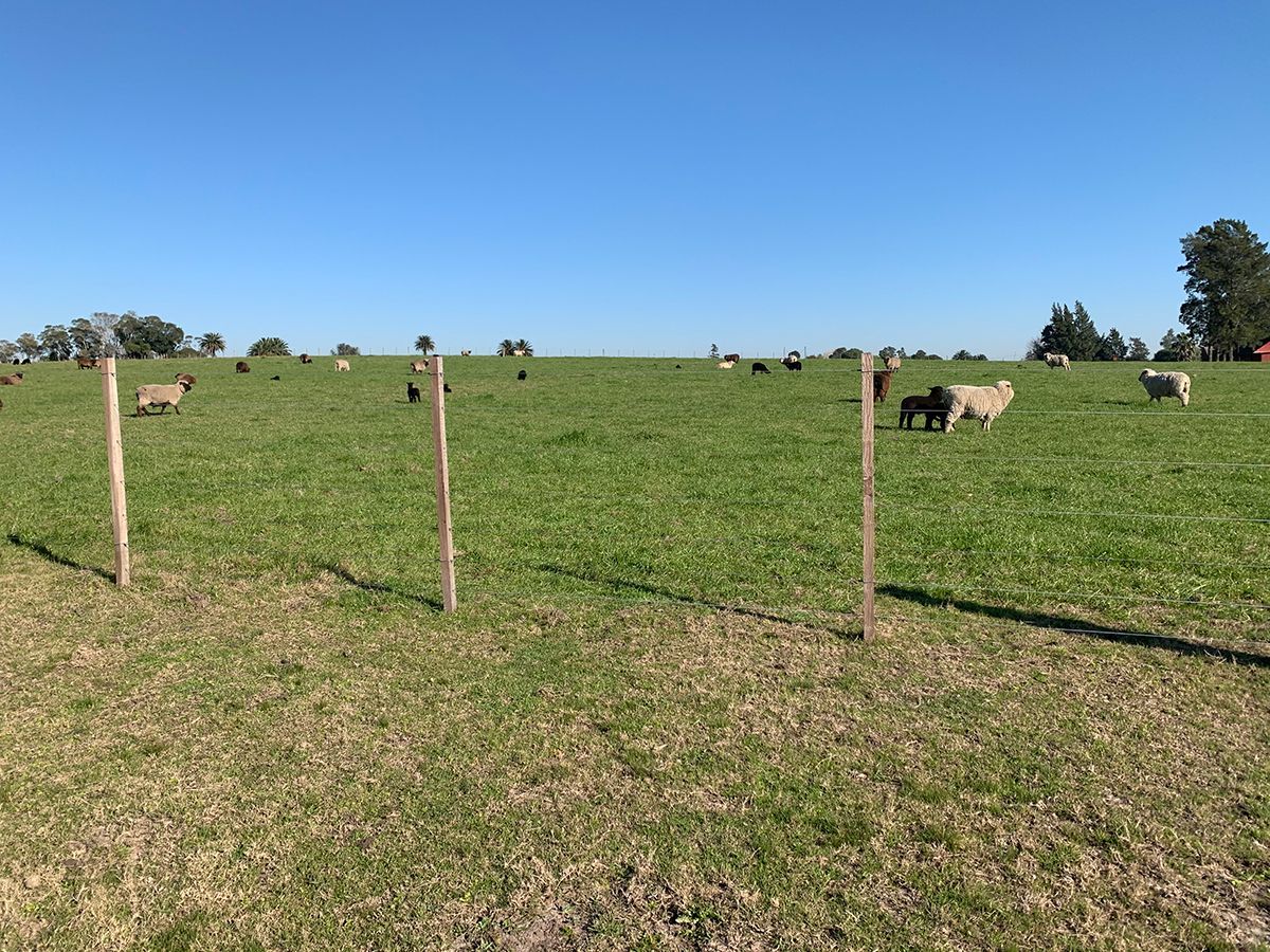 Campo en Canelones, propiedad 57453 -Imagen 5