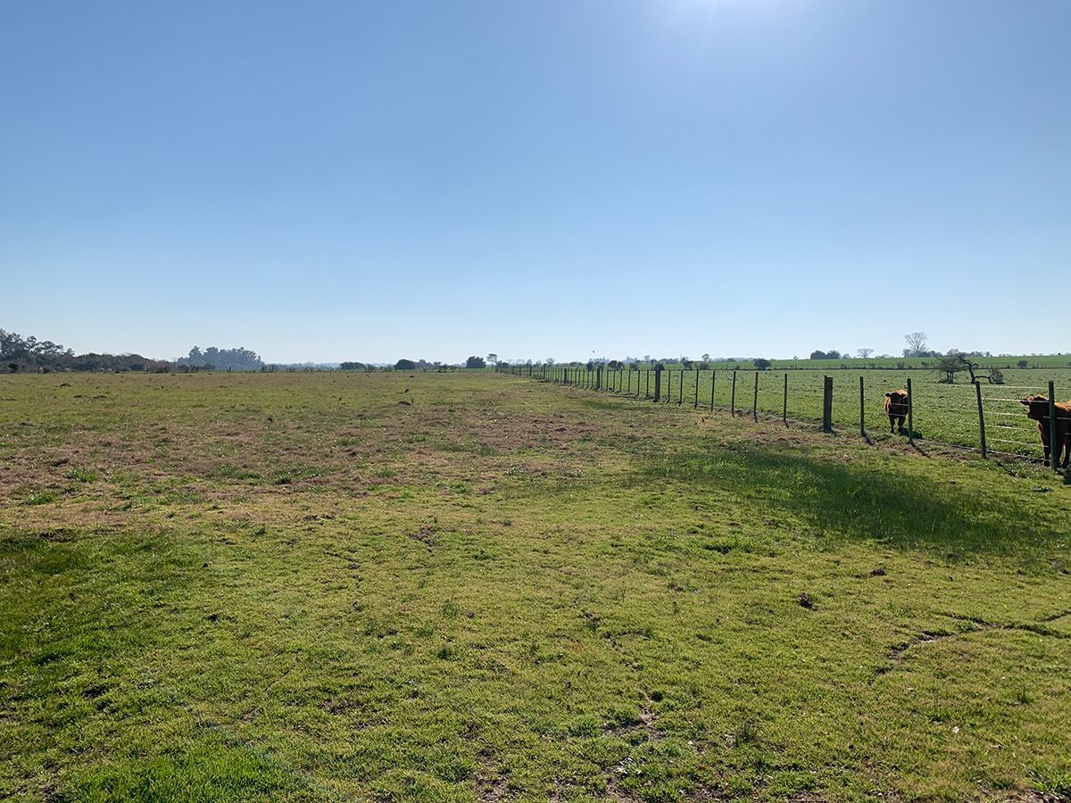 Campo en Canelones, propiedad 57453 -Imagen 6
