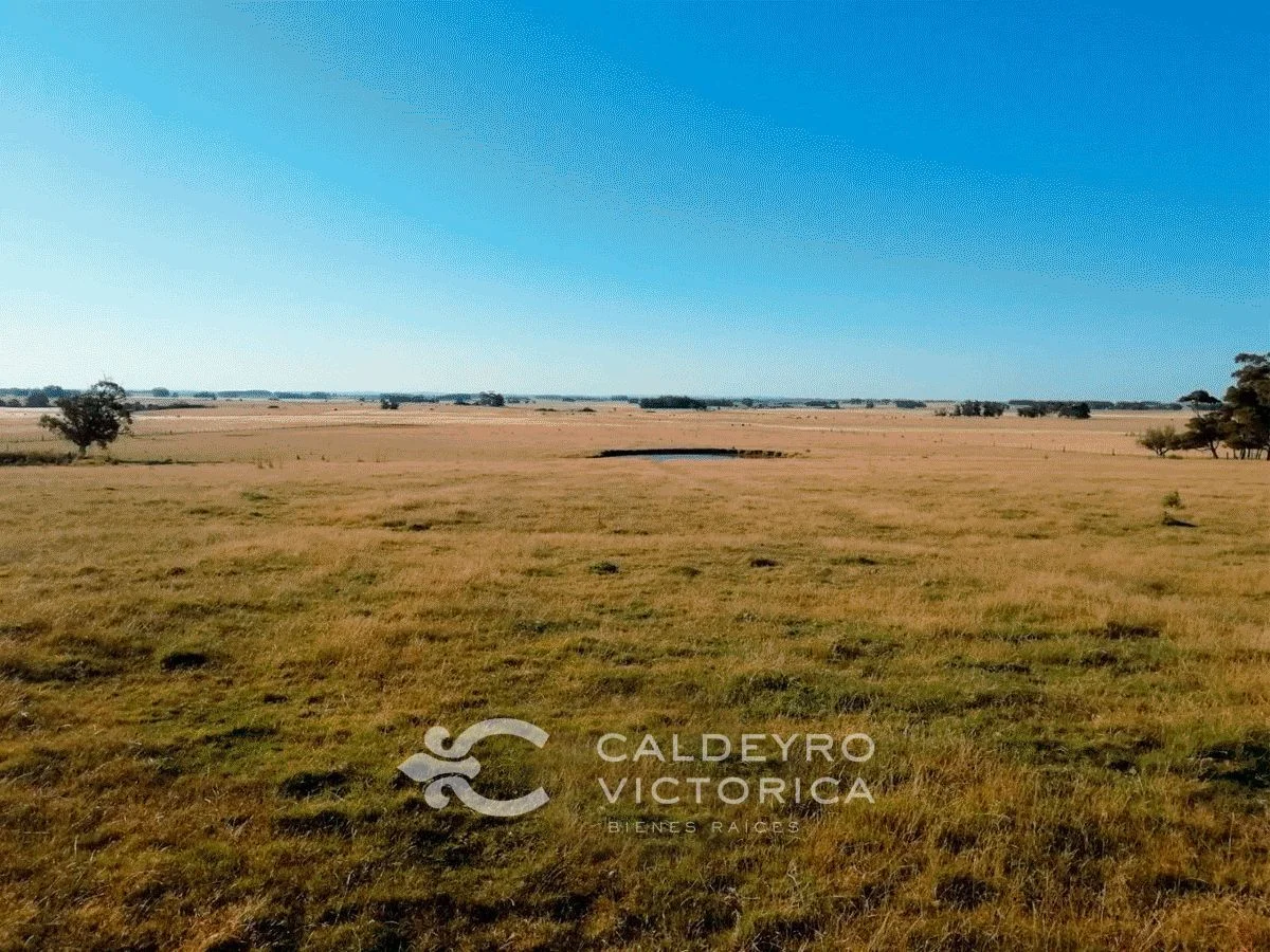 Campo en Canelones, propiedad 57453 -Imagen 1
