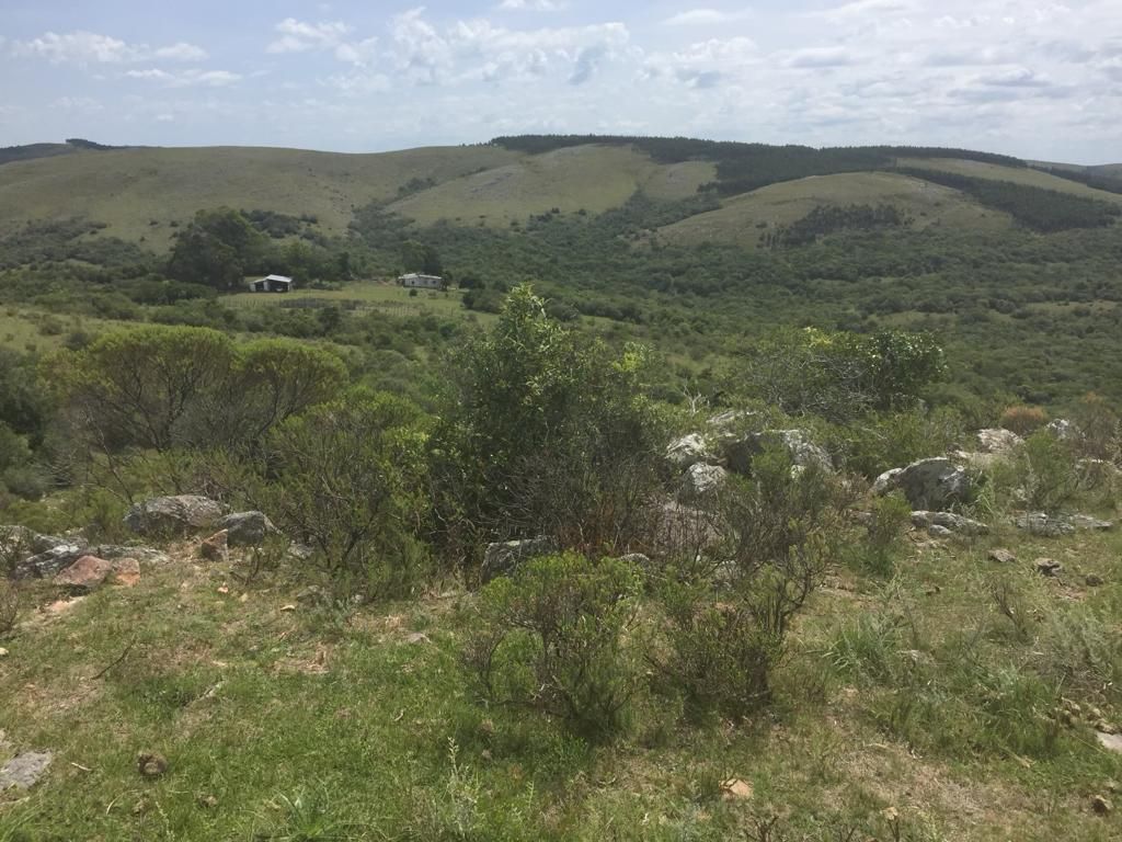 Campo en Minas, propiedad 57459 -Imagen 4