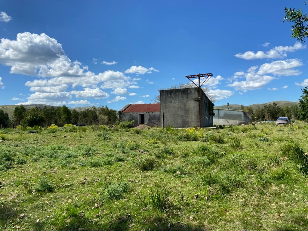 Campo en Minas, propiedad 57459 -Imagen 2