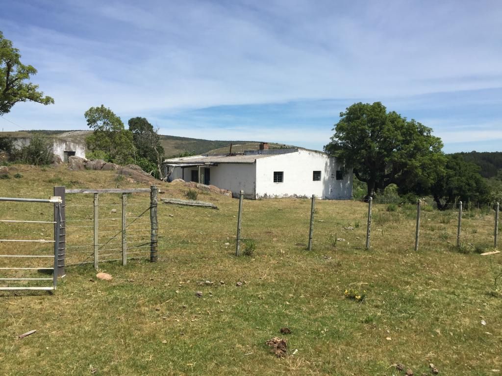 Campo en Minas, propiedad 57459 -Imagen 3