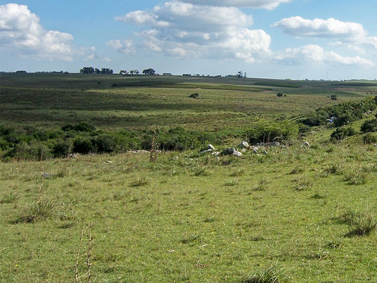 Campo en Minas, propiedad 57459 -Imagen 5