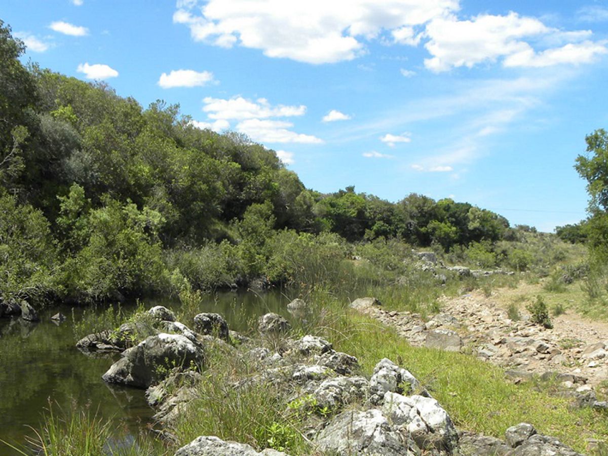 Campo en Minas, propiedad 57459 -Imagen 6