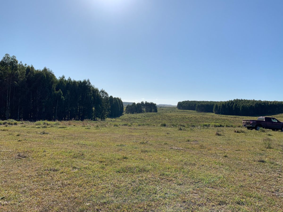 Campo en Young, propiedad 57468 -Imagen 3