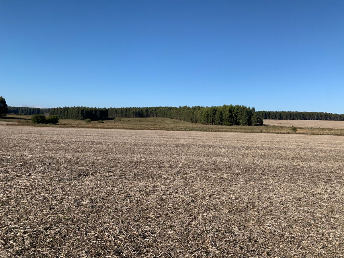 Campo en Young, propiedad 57468 -Imagen 5