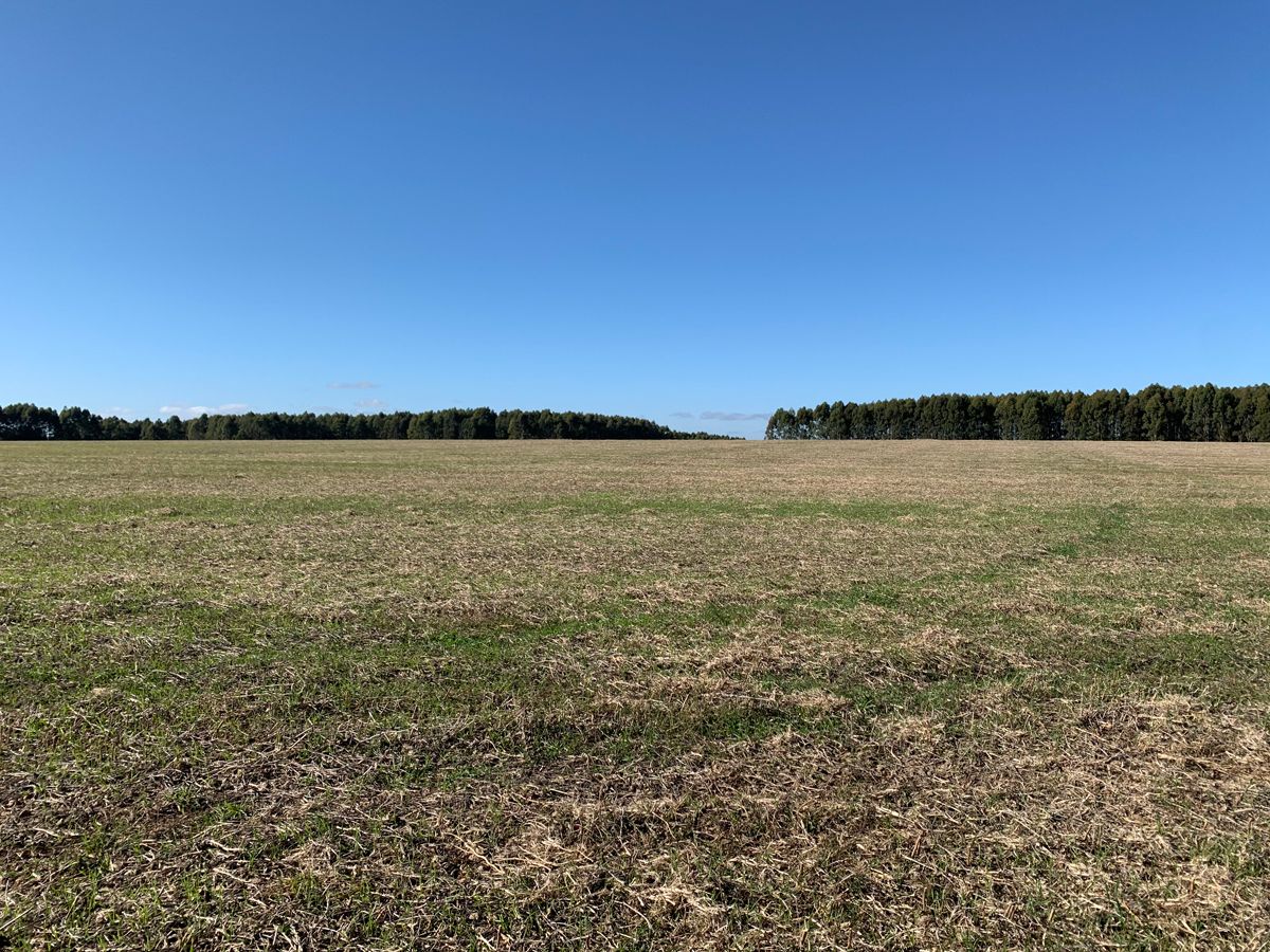 Campo en Young, propiedad 57468 -Imagen 4