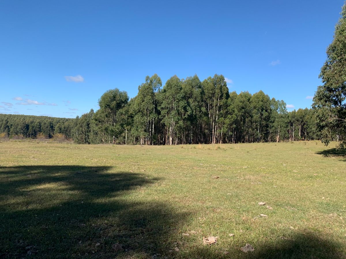 Campo en Young, propiedad 57468 -Imagen 8