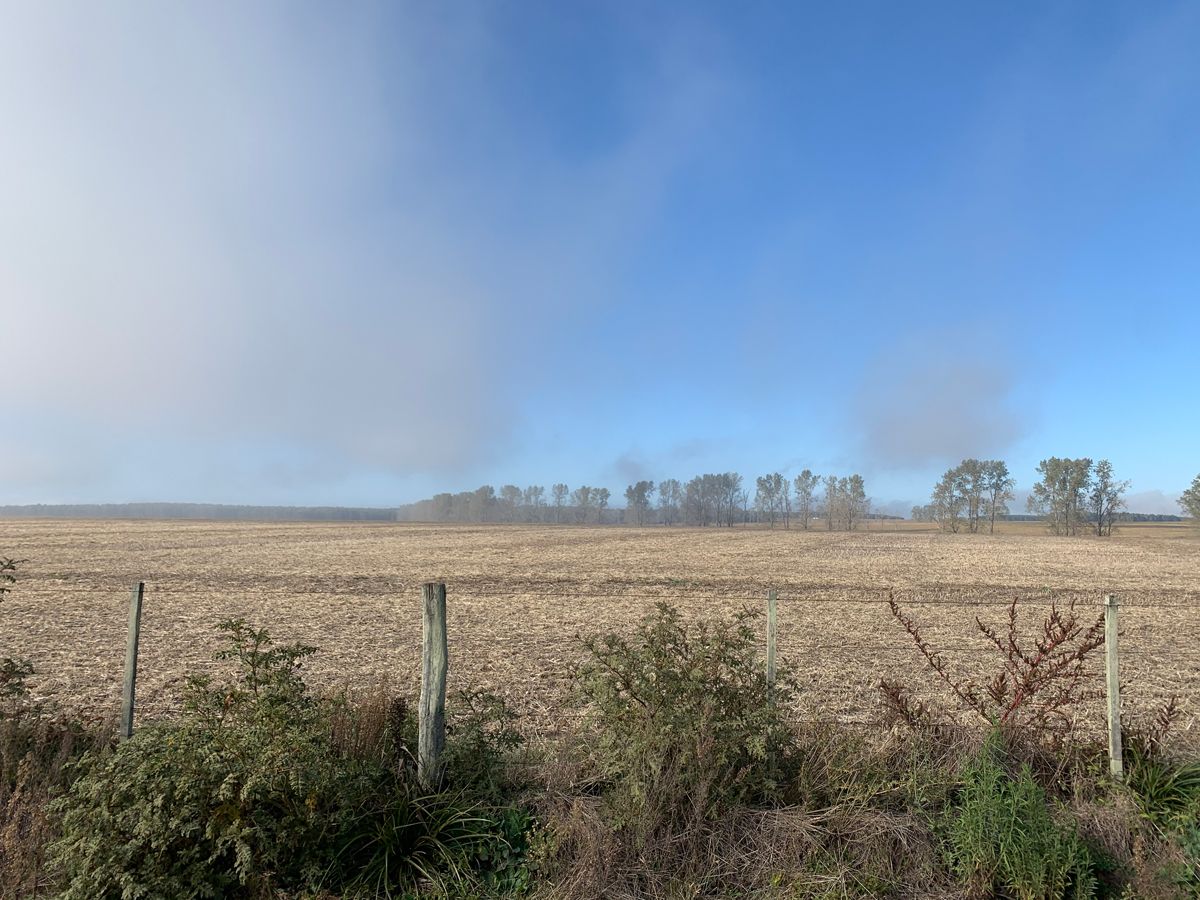 Campo en Young, propiedad 57468 -Imagen 9