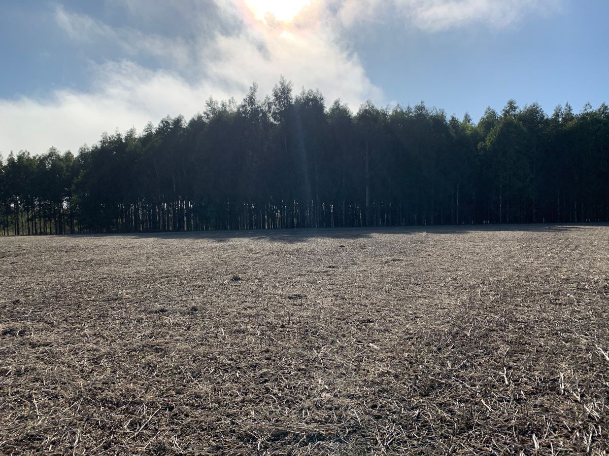 Campo en Young, propiedad 57468 -Imagen 7
