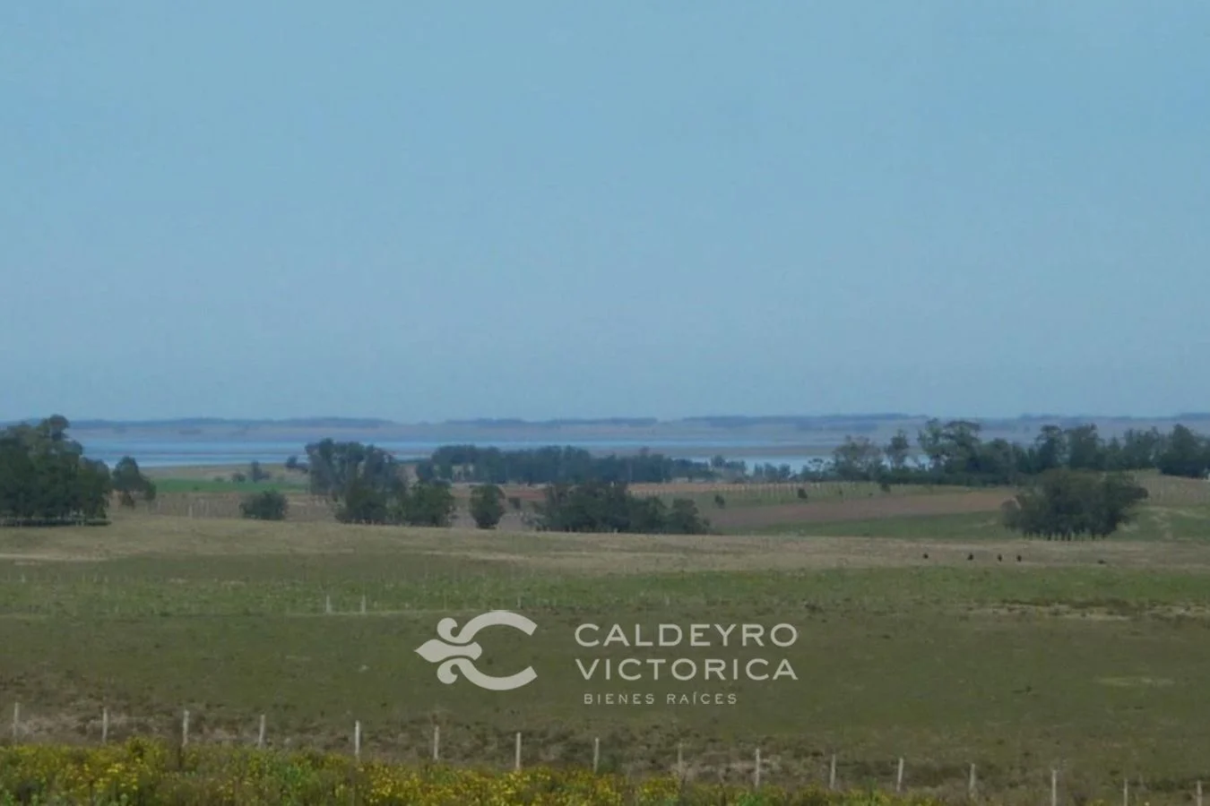 Campo en Rocha, propiedad 57469 -Imagen 1