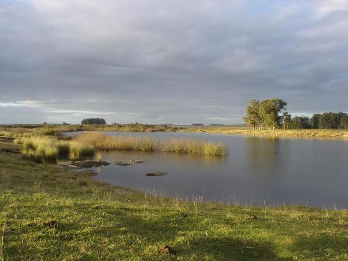 Campo en Melo, propiedad 57474 -Imagen 6