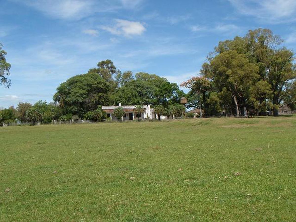 Campo en Melo, propiedad 57474 -Imagen 8