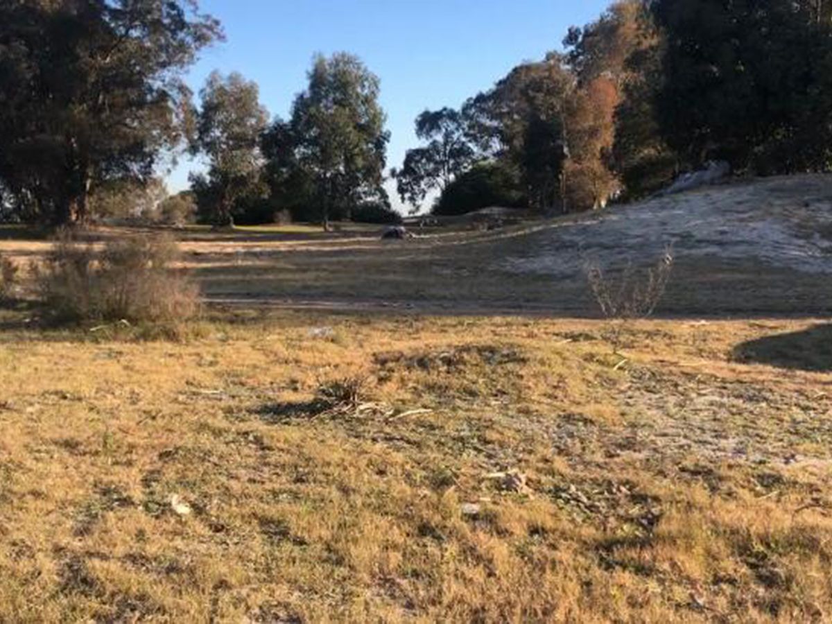 Campo en Delta del Tigre, propiedad 59639 -Imagen 4