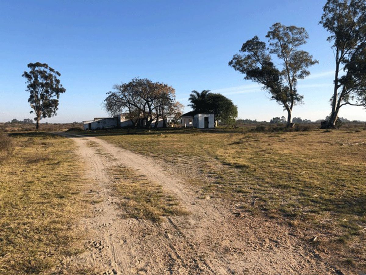 Campo en Delta del Tigre, propiedad 59639 -Imagen 2