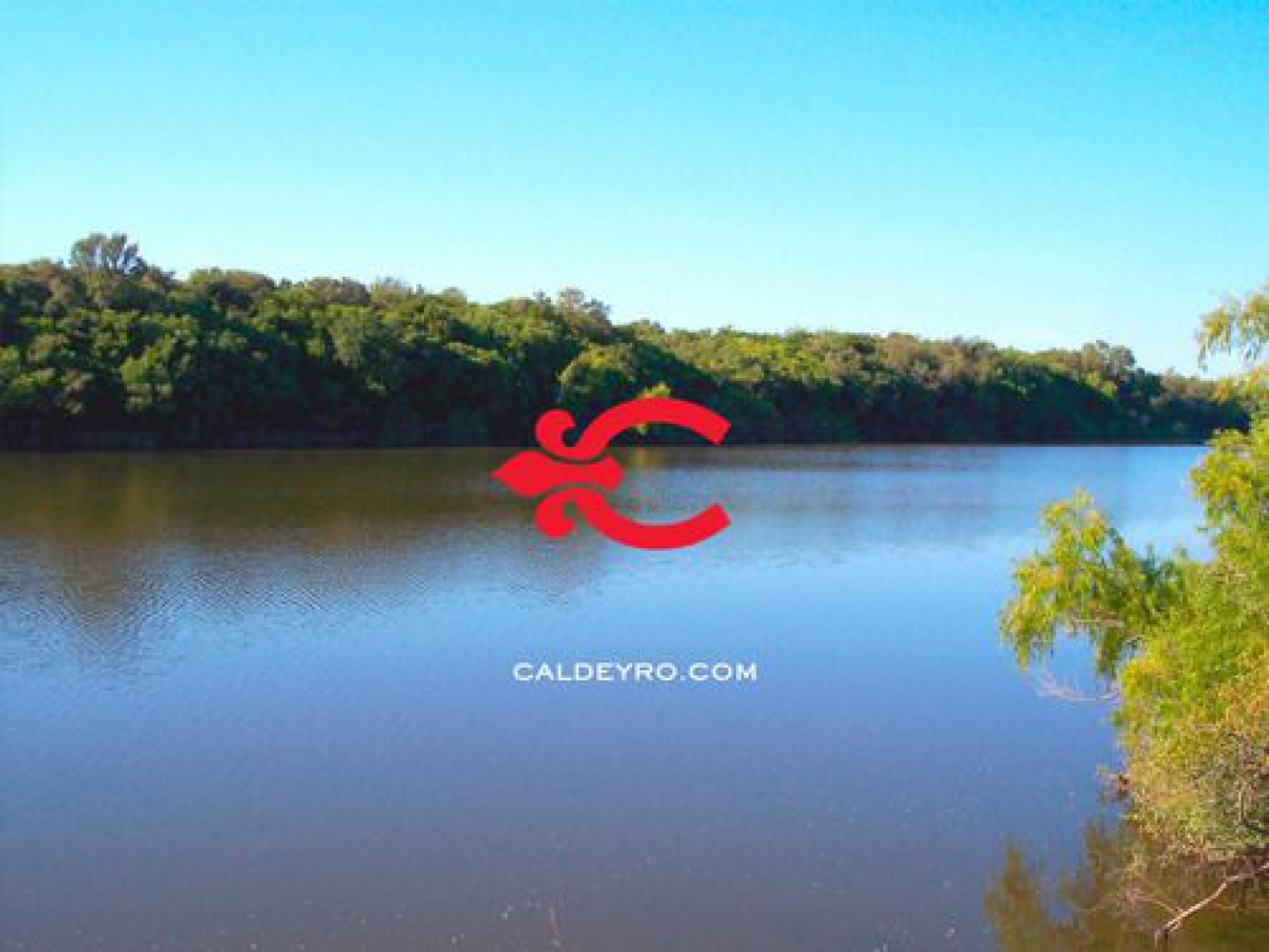 Campo en Delta del Tigre, propiedad 59639 -Imagen 1