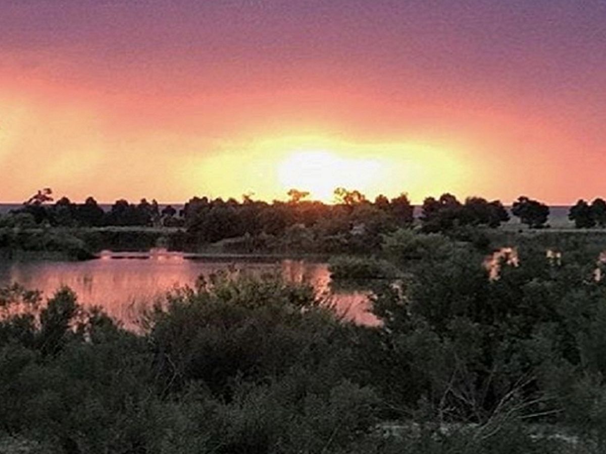 Campo en Delta del Tigre, propiedad 59639 -Imagen 6