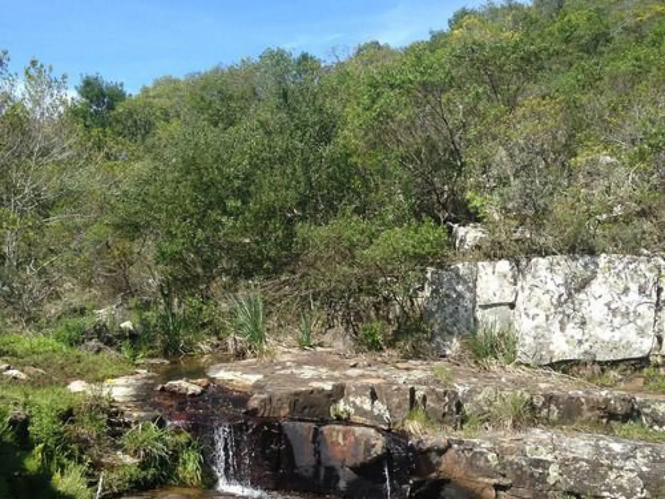 Campo en Solis de Mataojo, propiedad 59641 -Imagen 5
