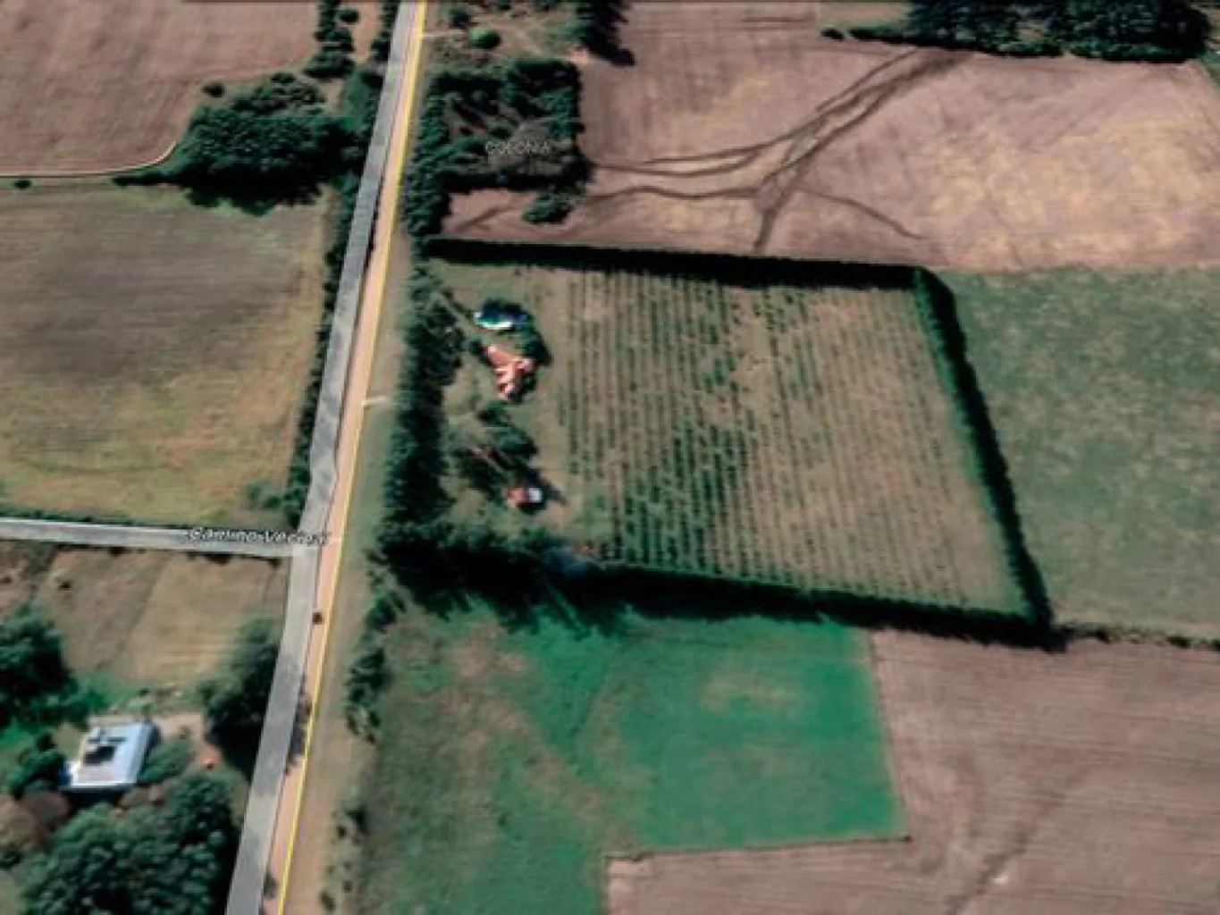 Campo en Colonia del Sacramento, propiedad 84336 -Imagen 9