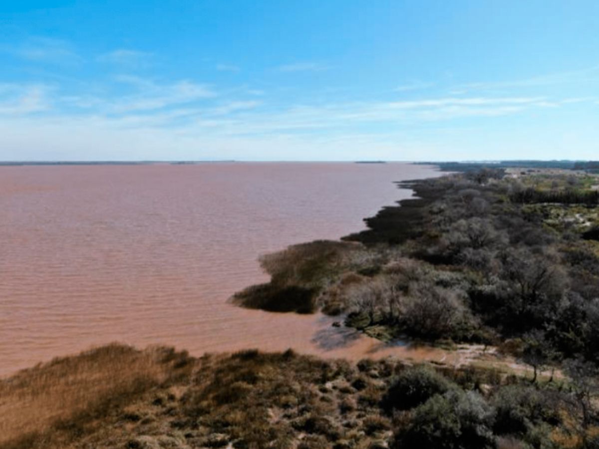 Campo en Carmelo, propiedad 84341 -Imagen 2