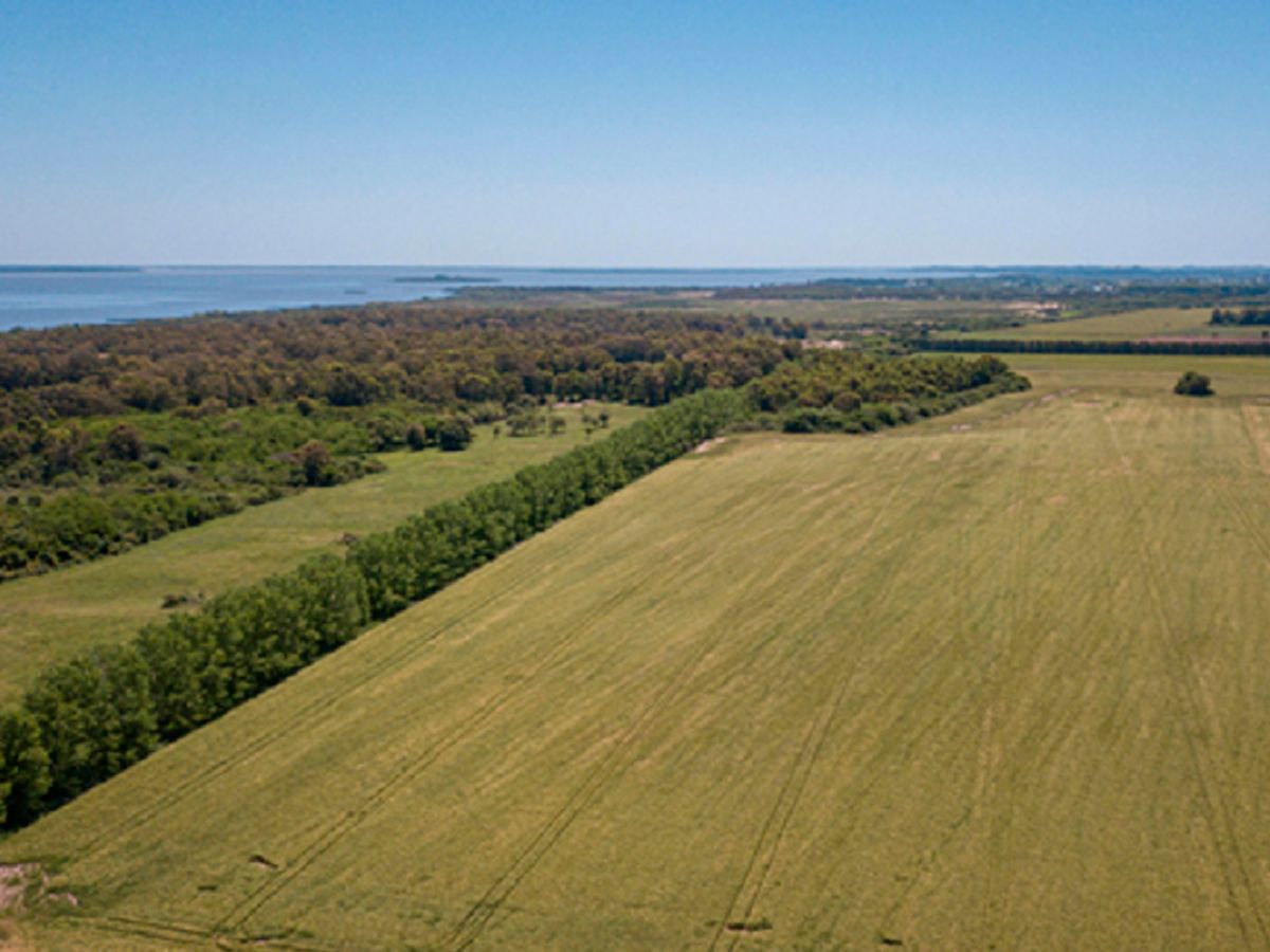 Campo en Carmelo, propiedad 84341 -Imagen 4