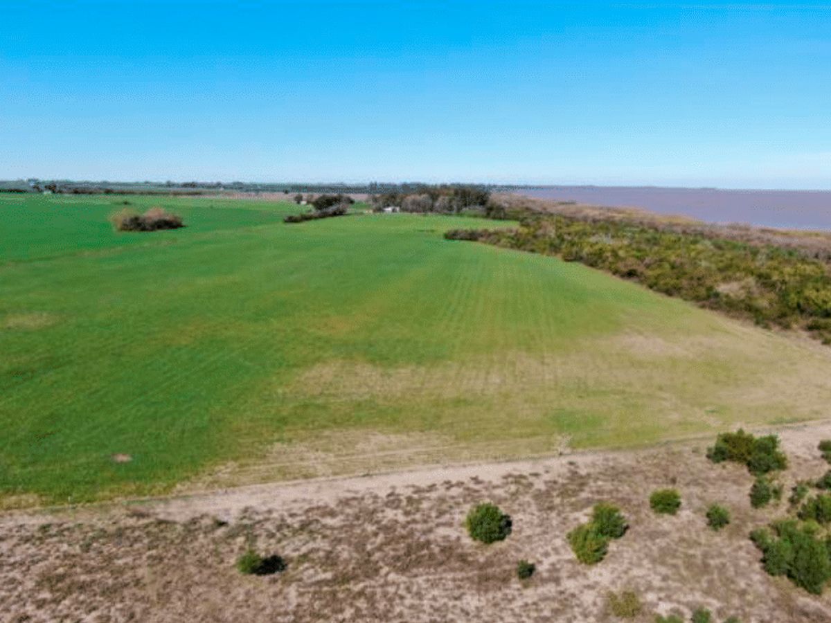 Campo en Carmelo, propiedad 84341 -Imagen 5