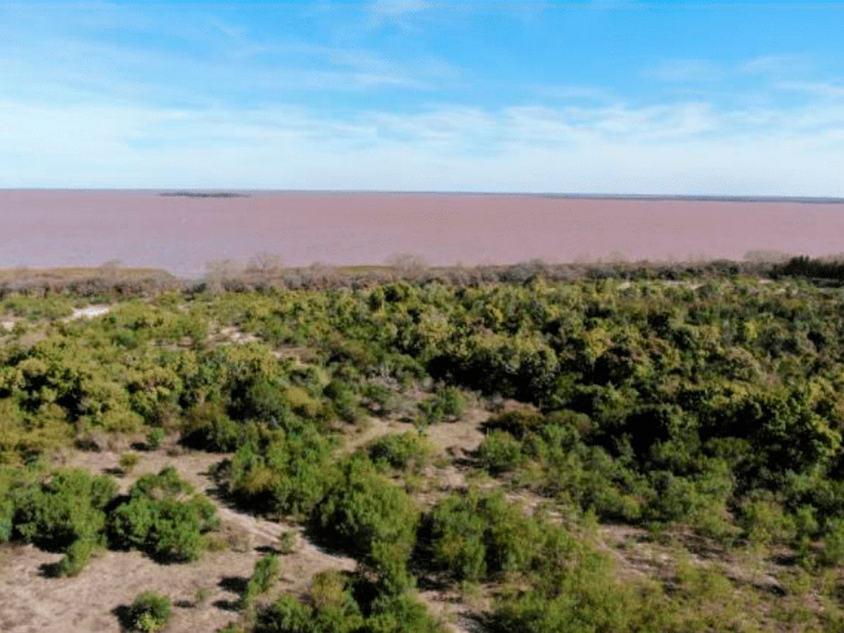 Campo en Carmelo, propiedad 84341 -Imagen 3