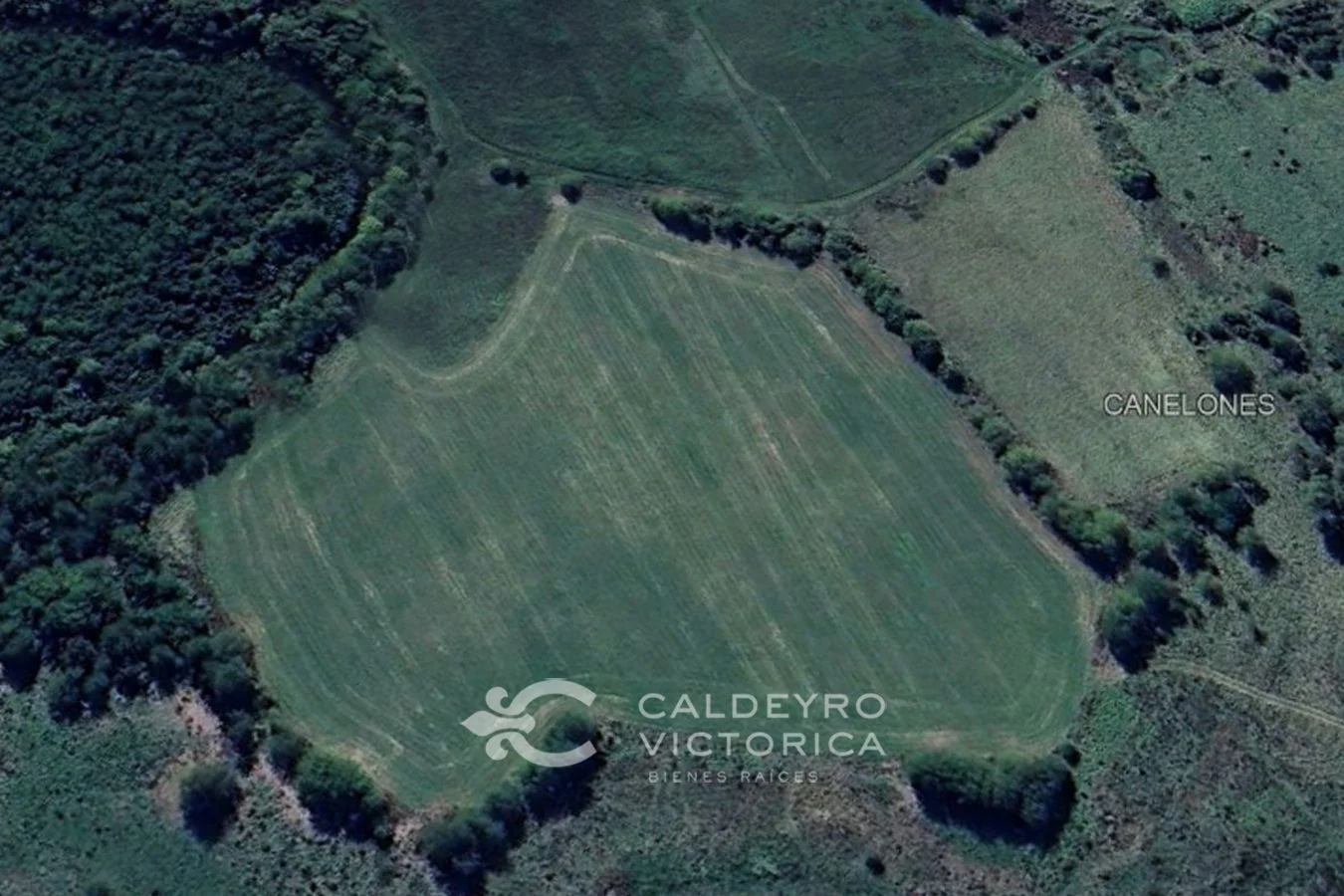 Terreno en Colinas de Carrasco, propiedad 90661 -Imagen 1
