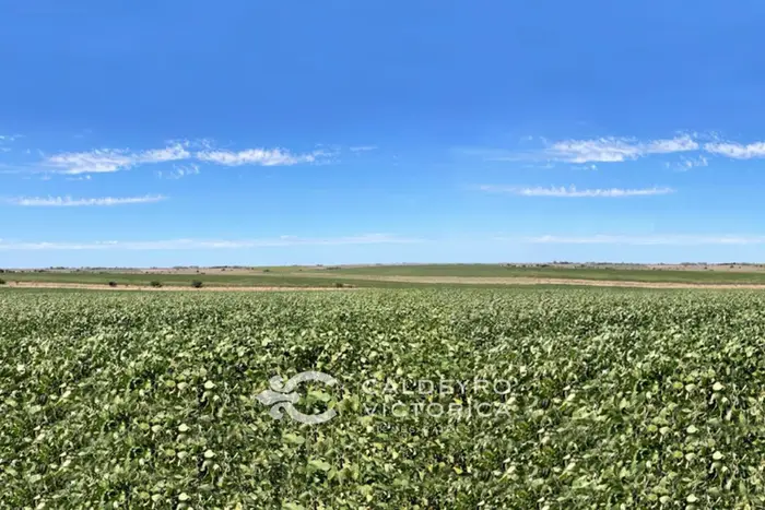 imagen  de la propiedad 227561
