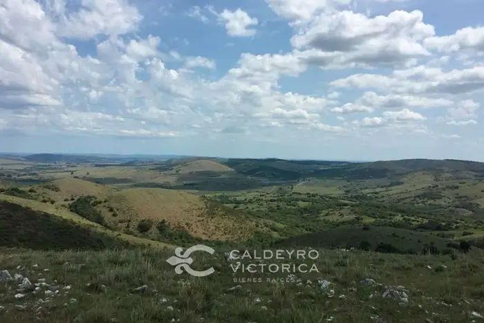 imagen  de la propiedad 57459