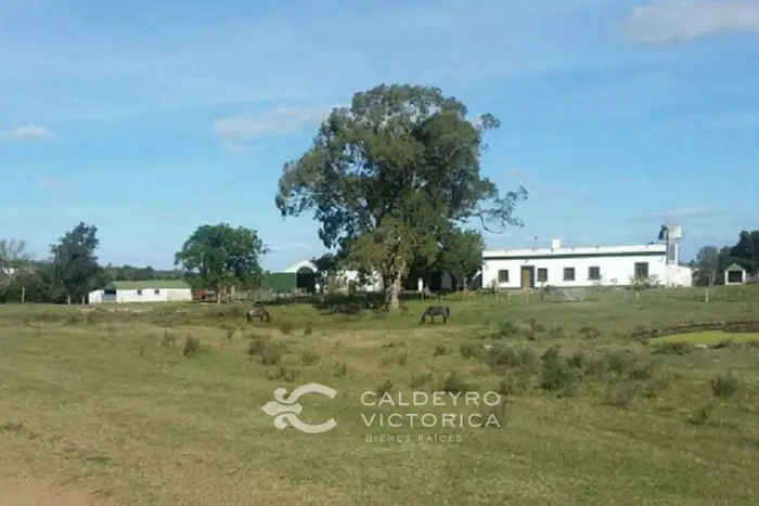 imagen  de la propiedad 57463