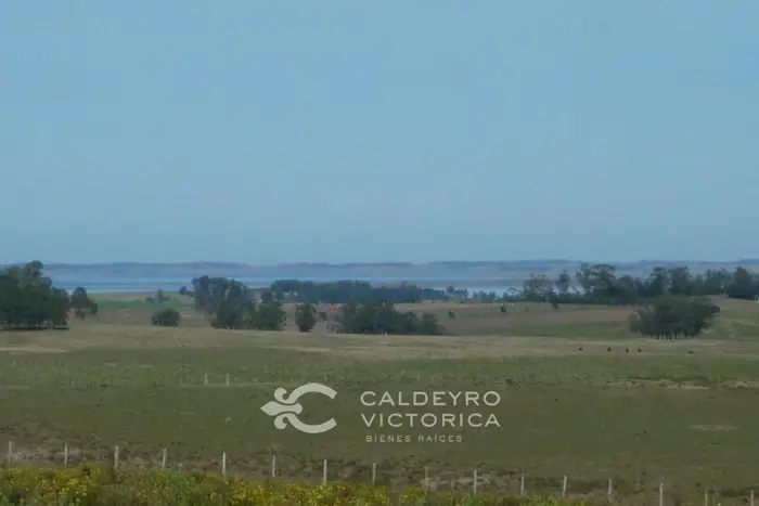 imagen  de la propiedad 57469