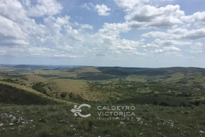 imagen  de la propiedad 59384