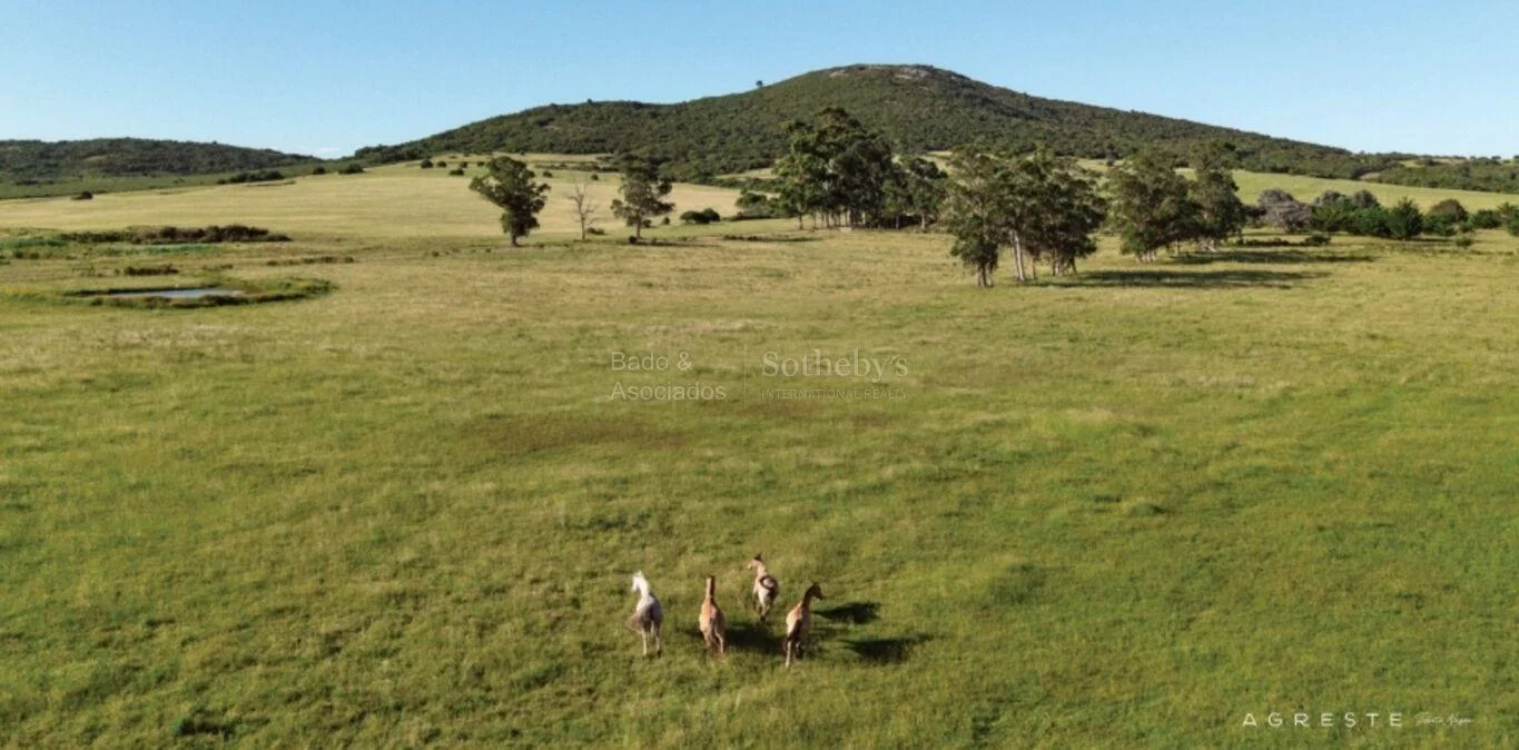 Terreno en Punta Negra, propiedad 284480 -Imagen 5