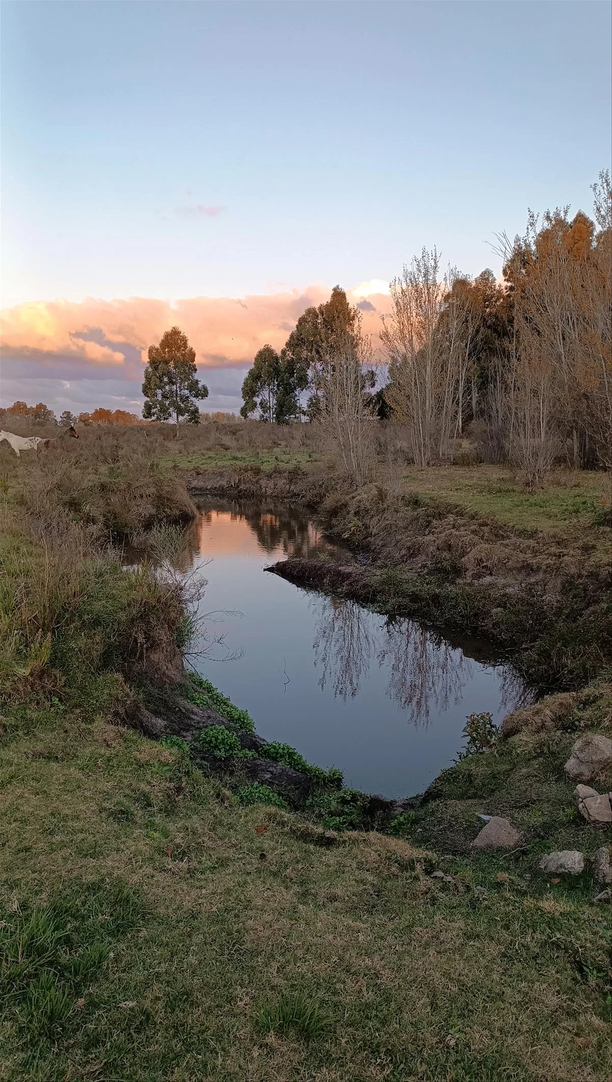 Campo en Atlántida, propiedad 298111 -Imagen 11
