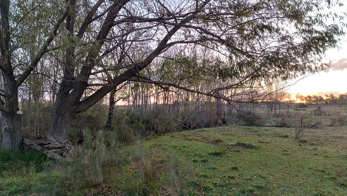 Campo en Atlántida, propiedad 298111 -Imagen 13