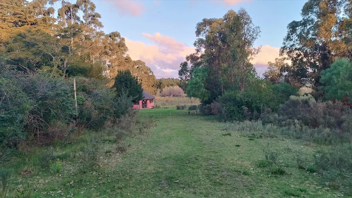 Campo en Atlántida, propiedad 298111 -Imagen 15