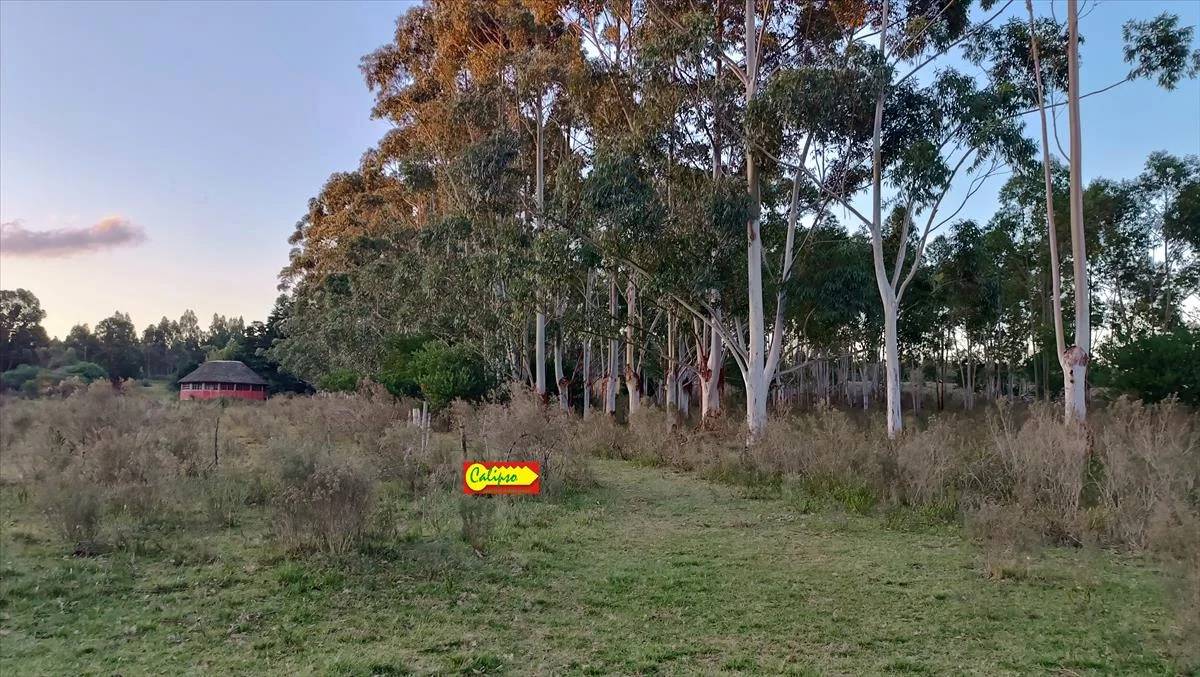 Campo en Atlántida, propiedad 298111 -Imagen 4