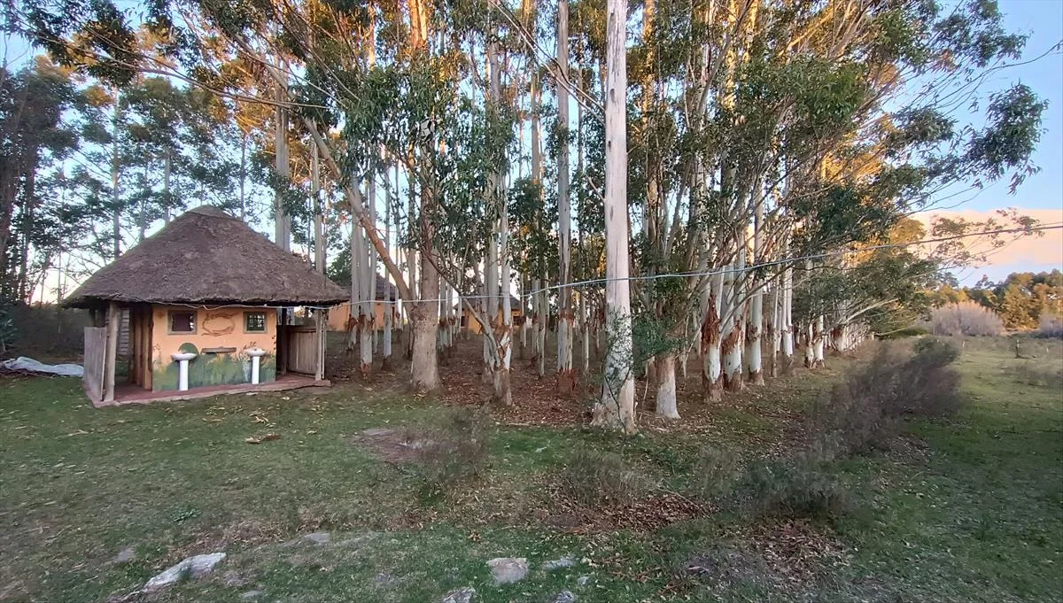 Campo en Atlántida, propiedad 298111 -Imagen 5