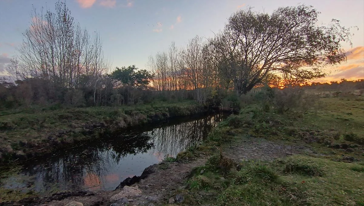 Campo en Atlántida, propiedad 299907 -Imagen 12