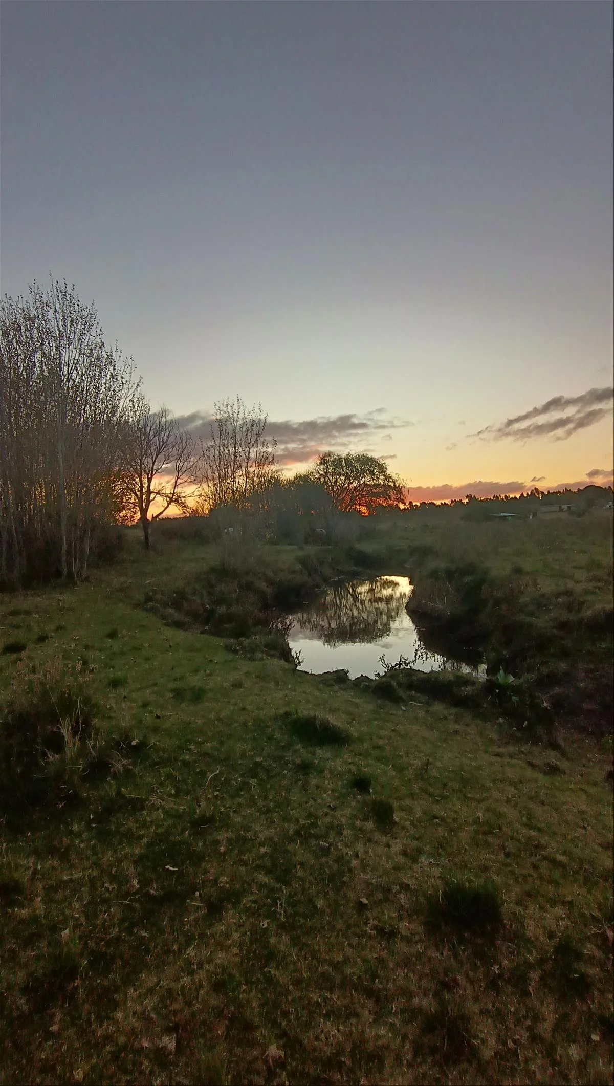 Campo en Atlántida, propiedad 299907 -Imagen 14