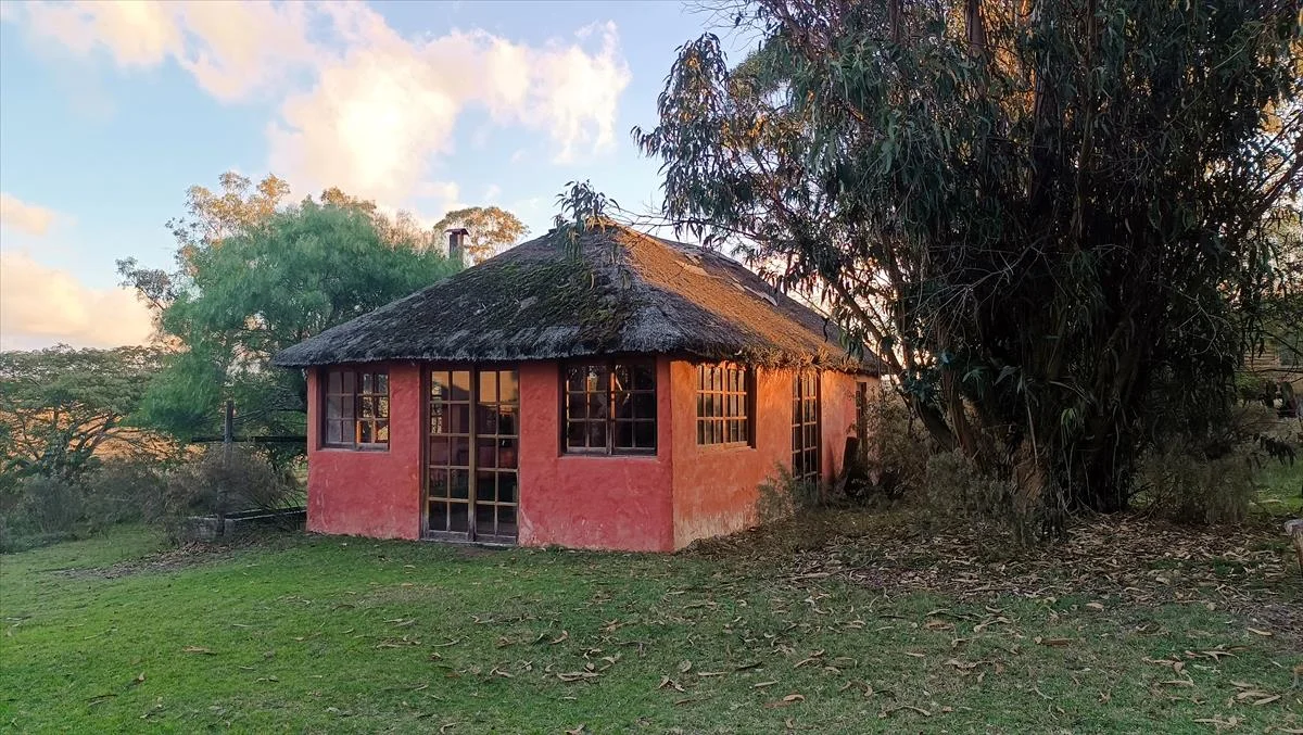 Campo en Atlántida, propiedad 299907 -Imagen 17
