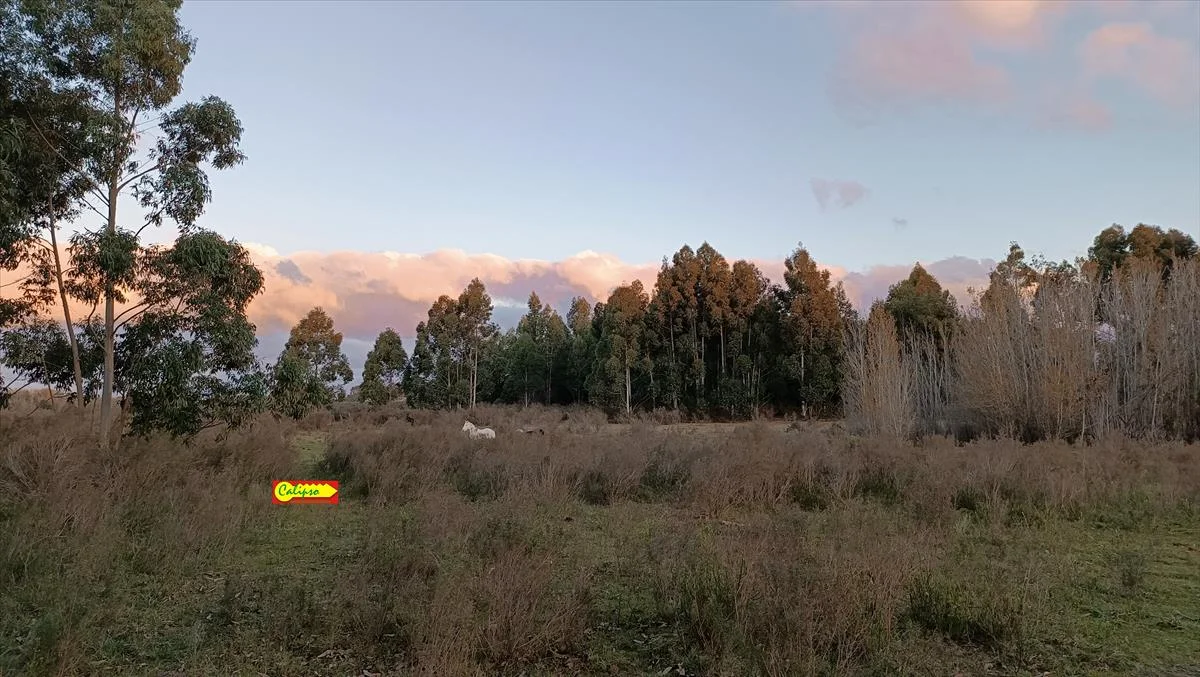 Campo en Atlántida, propiedad 299907 -Imagen 3