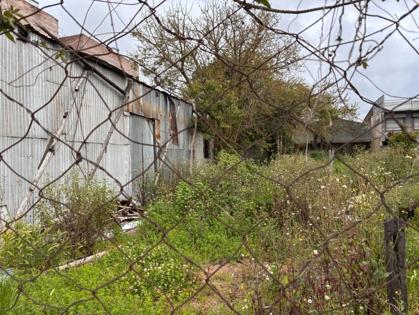 Terreno en Pando, propiedad 301969 -Imagen 2